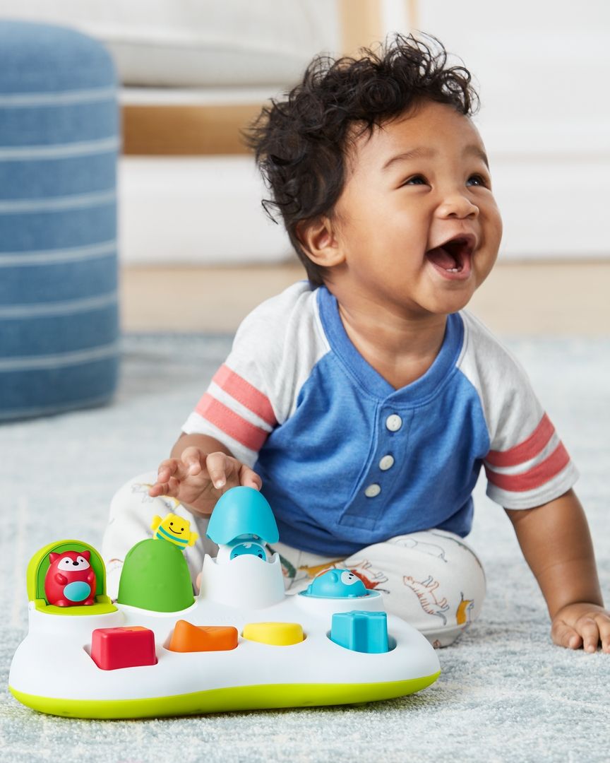 Skip Hop - Explore & More Pop & Play